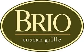 brio.fr