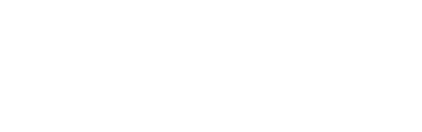 raisefx.com